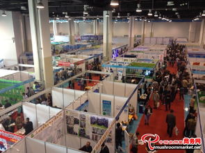 3000多項食用菌產品技術亮相青島會展