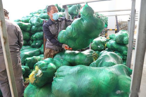 青島西海岸新區(qū)供銷社攜手新材料科技助力湖北農(nóng)產(chǎn)品破解滯銷困局