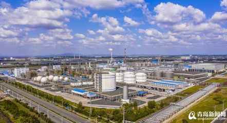 【青視點】從“一棵樹”到“一片林” 青島新材料專業(yè)園區(qū)崛起，新興產(chǎn)業(yè)生態(tài)加速成勢